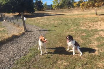 Dog Park at Amazon Park photo 1
